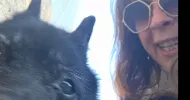 avatar petsitter