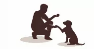 avatar petsitter