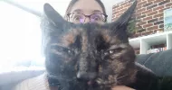 avatar petsitter