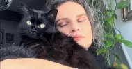 avatar petsitter
