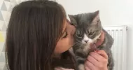 avatar petsitter