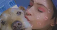 avatar petsitter