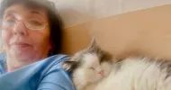 avatar petsitter
