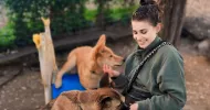 avatar petsitter