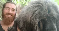 avatar petsitter