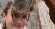 avatar petsitter
