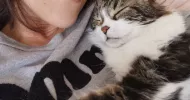 avatar petsitter