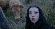 avatar petsitter