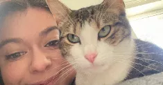 avatar petsitter