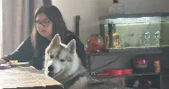 avatar petsitter