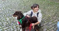 avatar petsitter