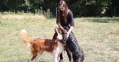 avatar petsitter