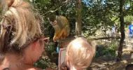 avatar petsitter